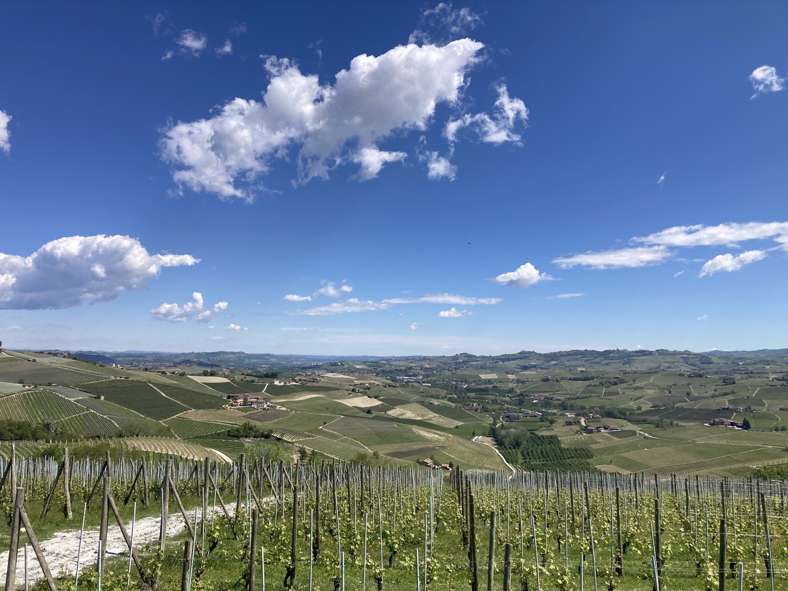 Le terre del Barbaresco