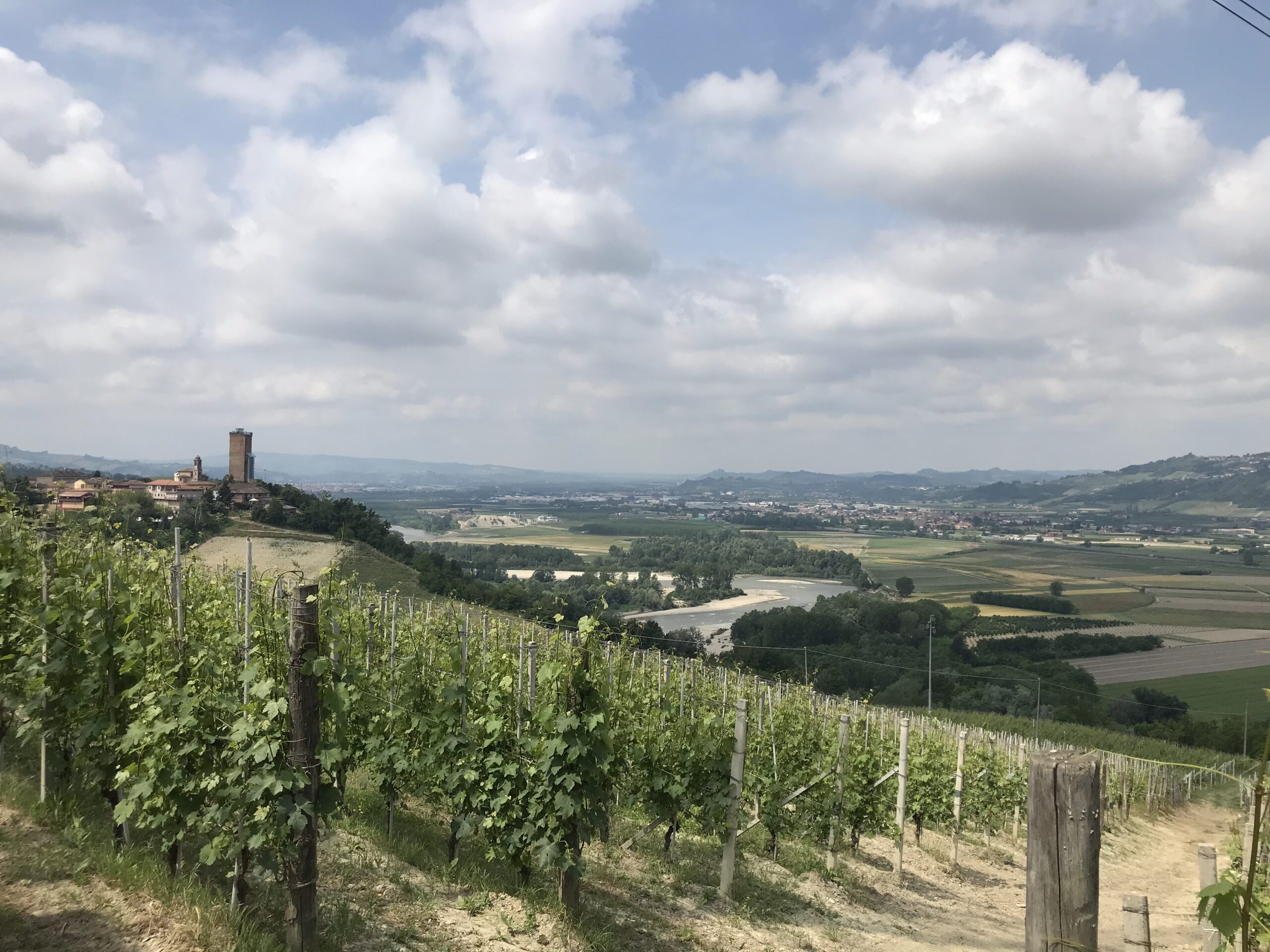 La Torre di Barbaresco